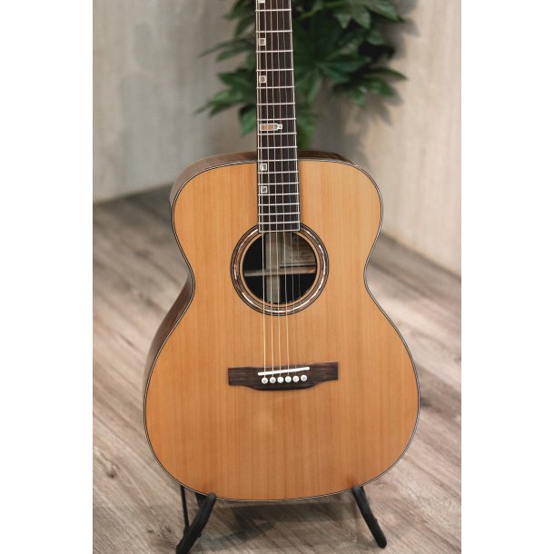 Fonzo V-201C OM Full Body